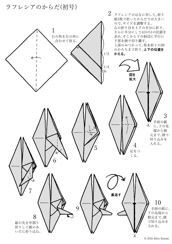 ラフレシア初号1
