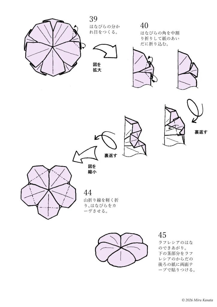 ラフレシアはな5