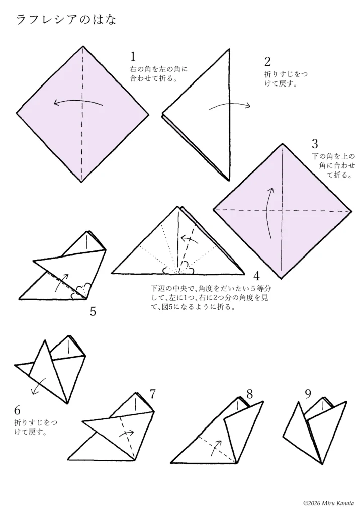 ラフレシアはな1