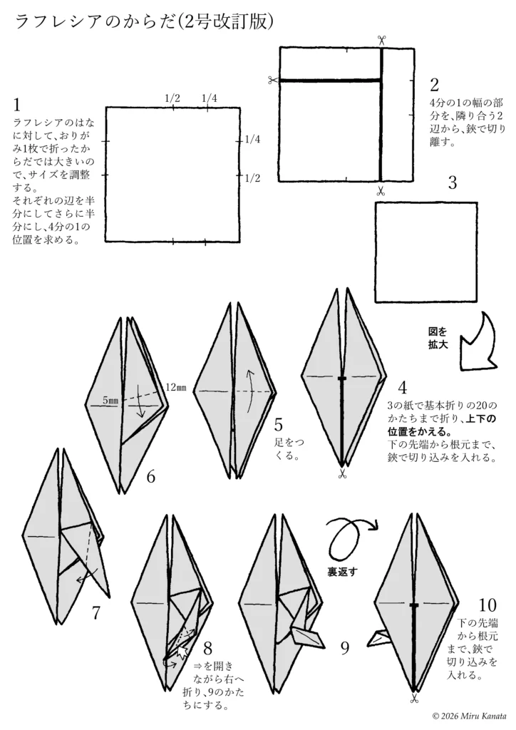 ラフレシア2号改訂版1