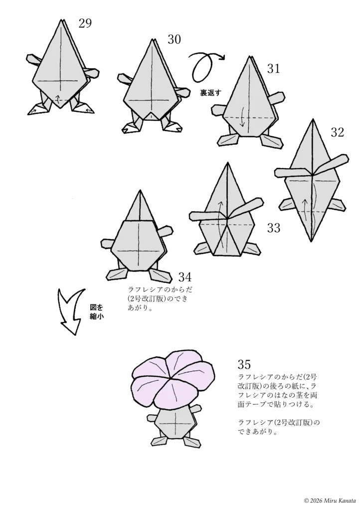ラフレシア2号改訂版4