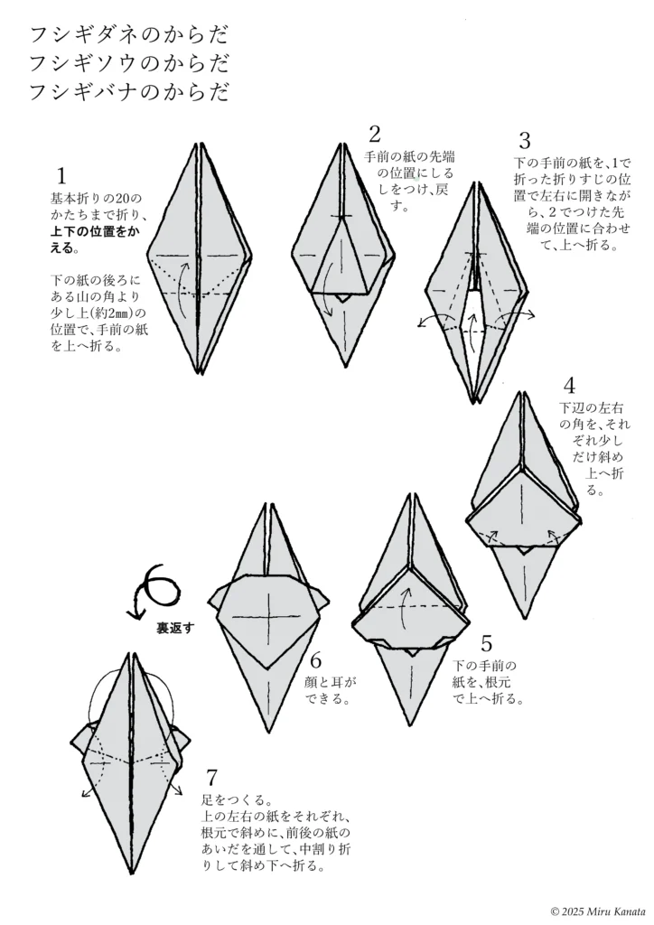 フシギダネ11