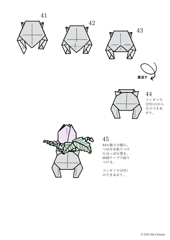 フシギソウ25