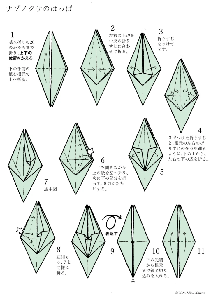 ナゾノクサa3