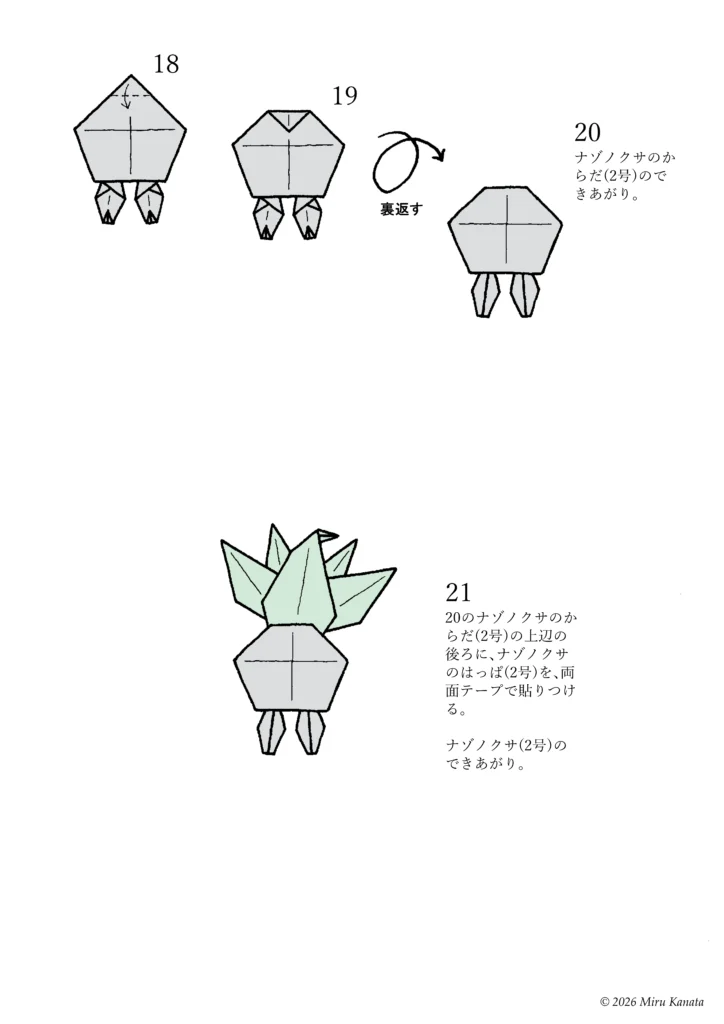 ナゾノクサb3