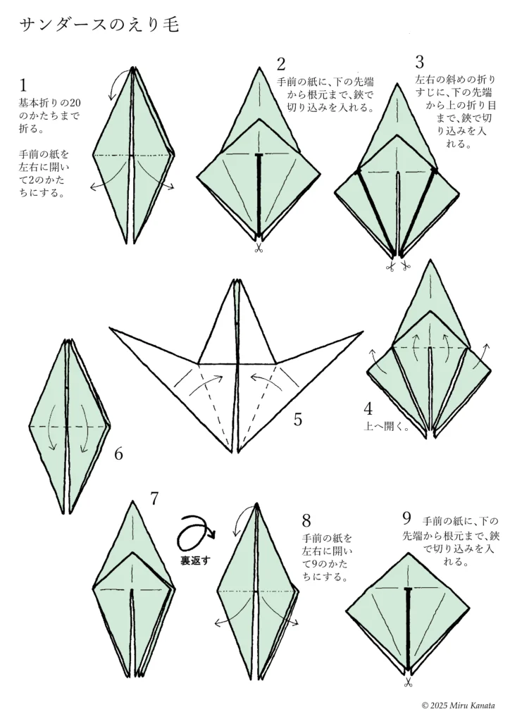サンダース6