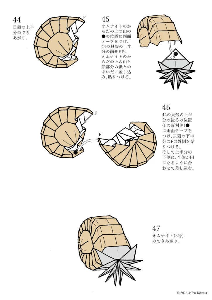オムナイト20
