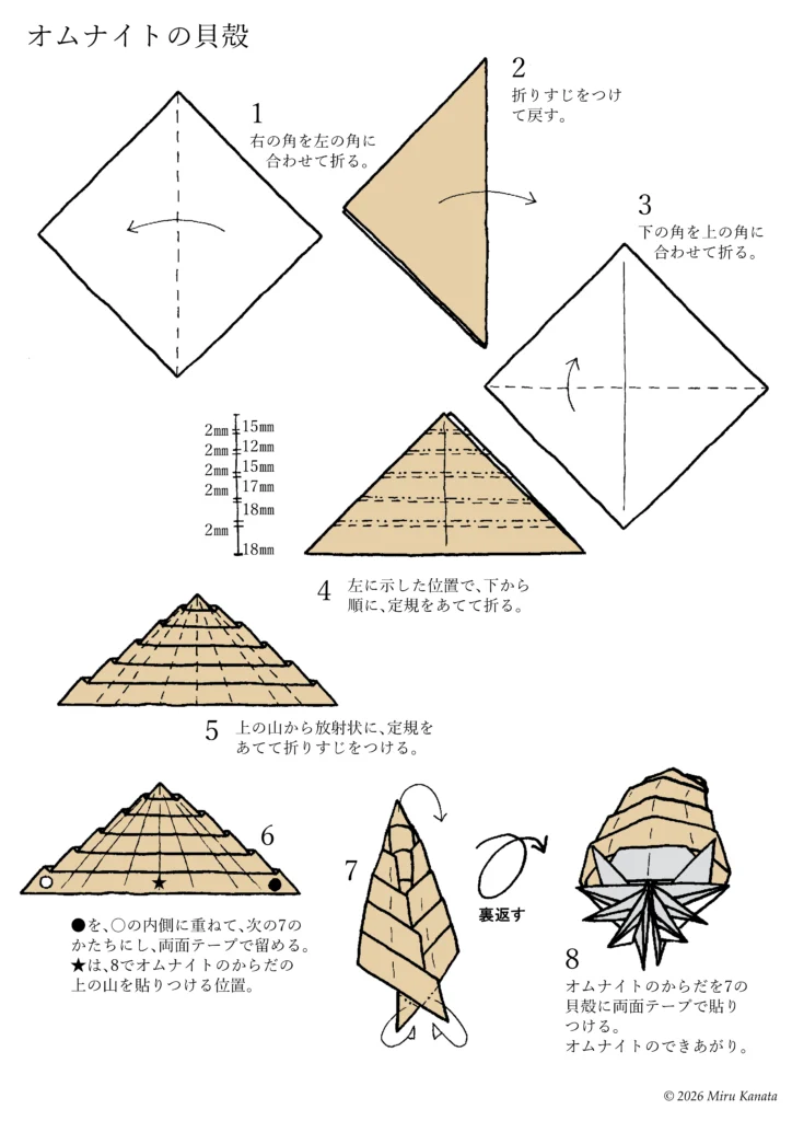 オムナイト11