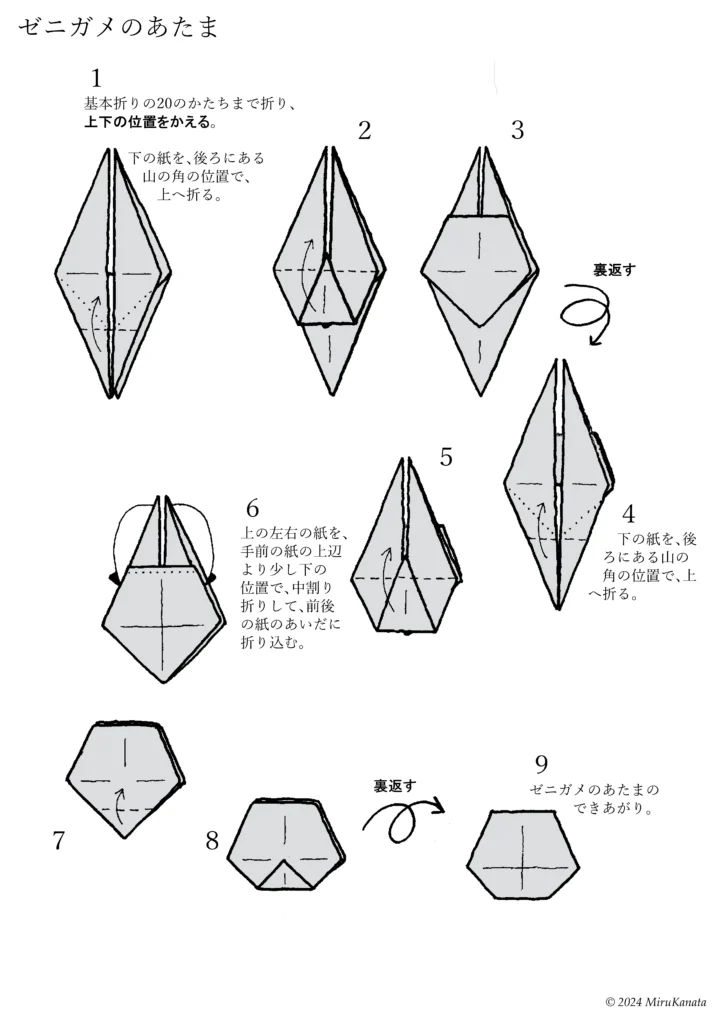ゼニガメ1