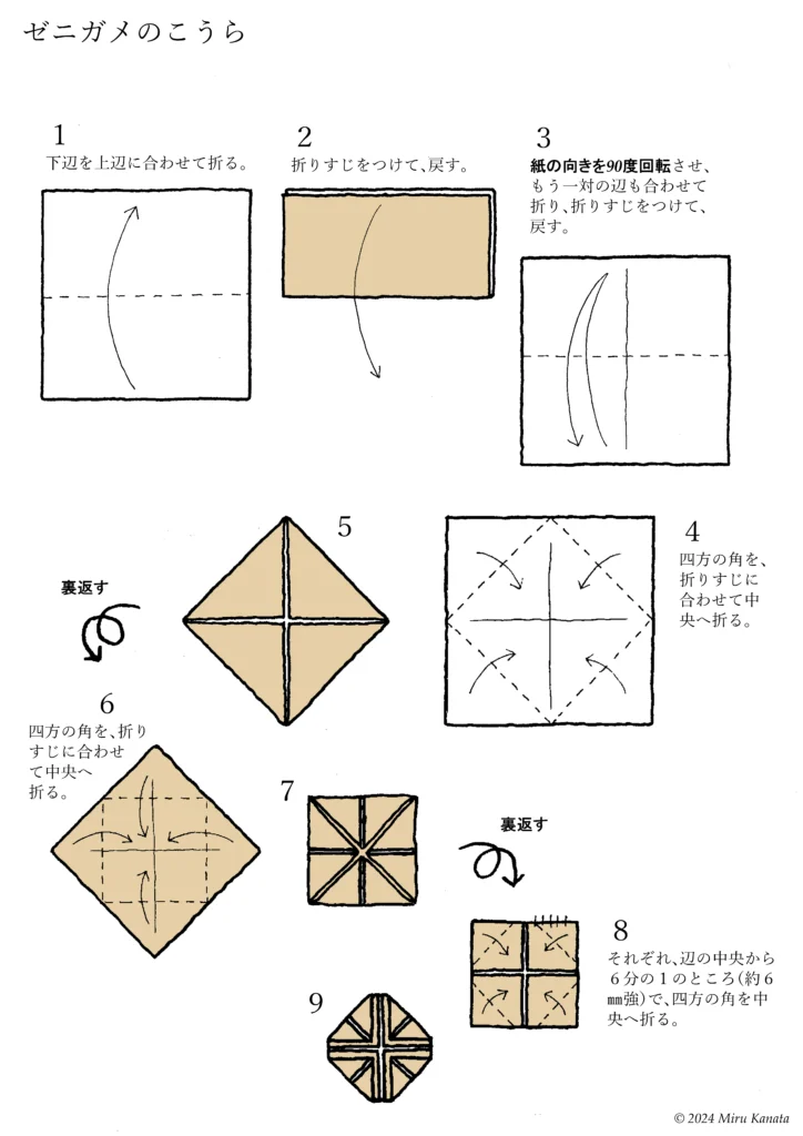 ゼニガメ2