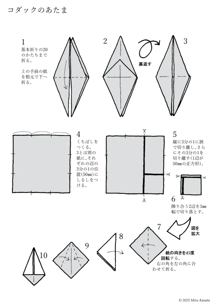 コダック1