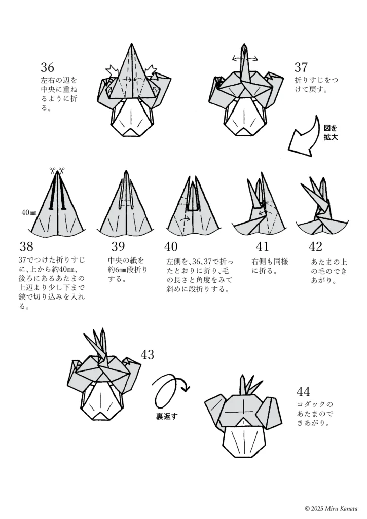 コダック５
