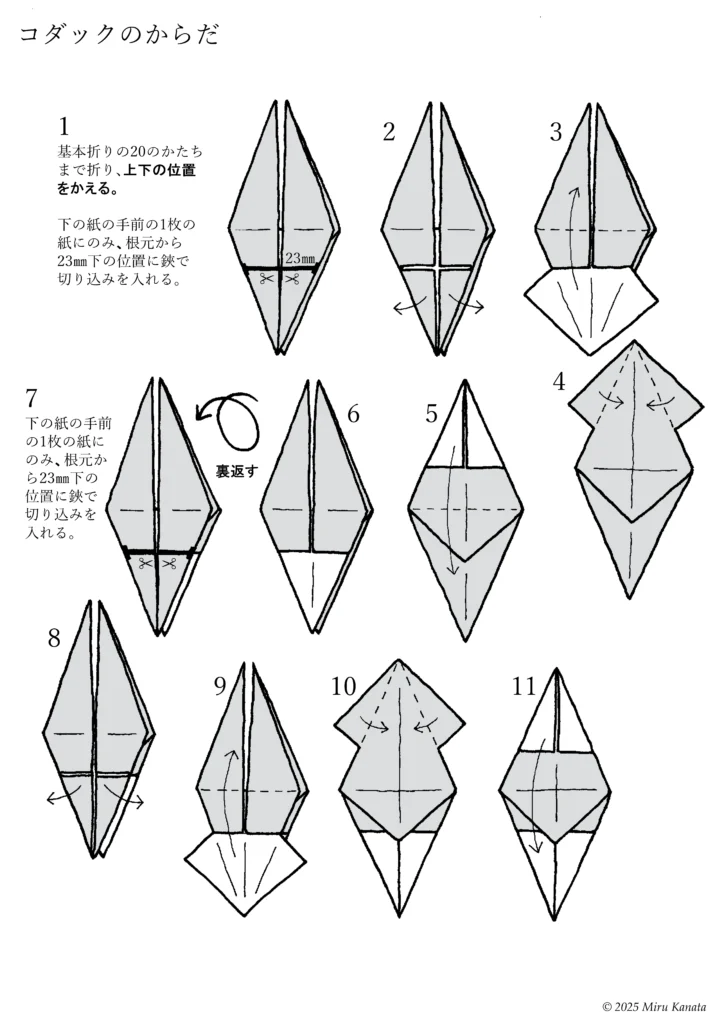 コダック6